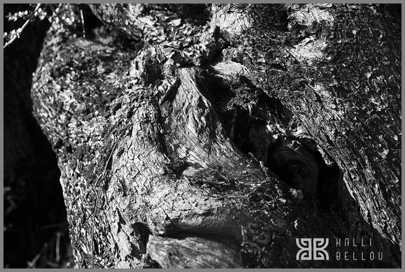 � Kalli Bellou / www.kallibellou.com