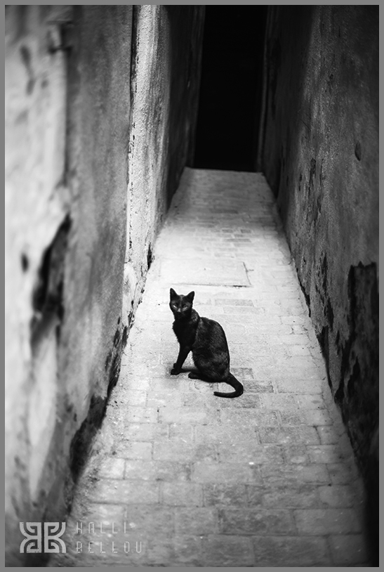 � Kalli Bellou / www.kallibellou.com