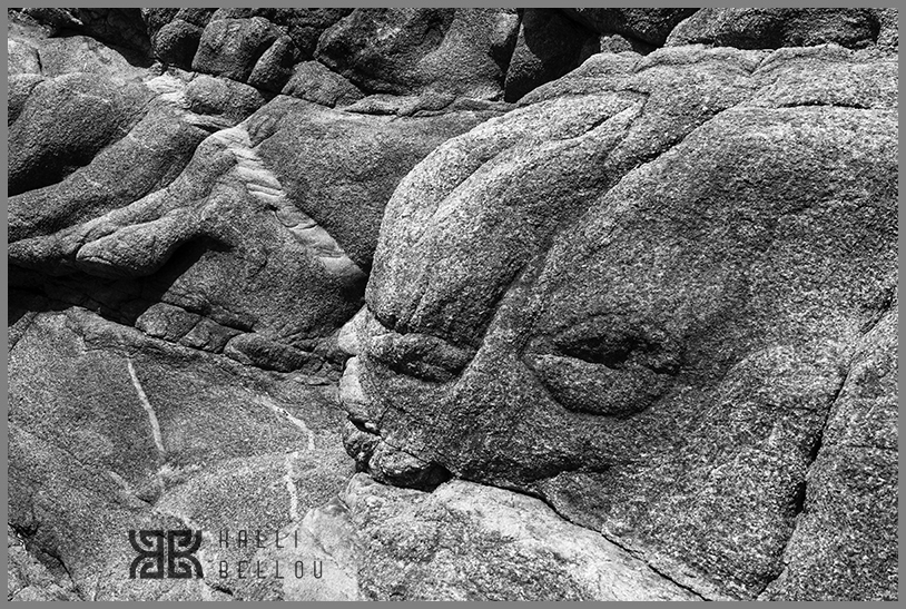 � Kalli Bellou / www.kallibellou.com