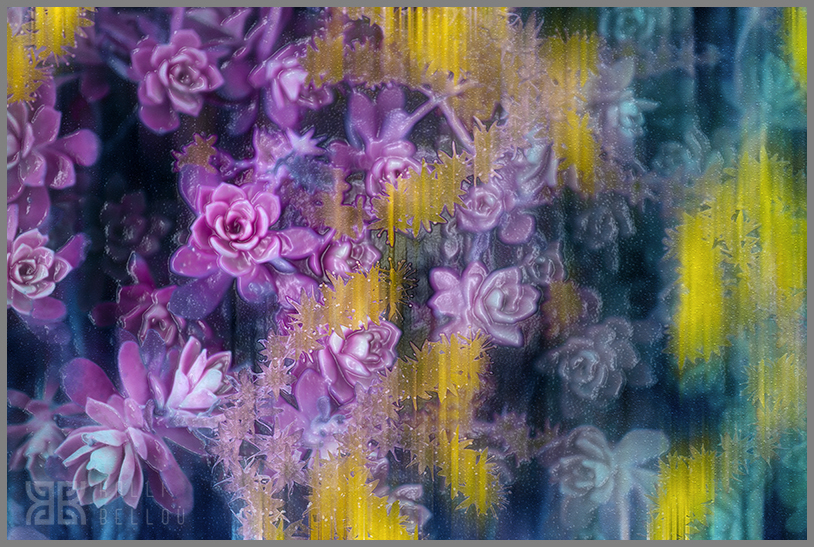 � Kalli Bellou / www.kallibellou.com