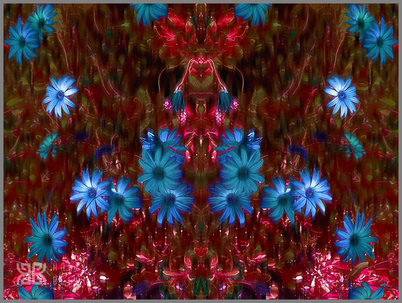 � Kalli Bellou / www.kallibellou.com