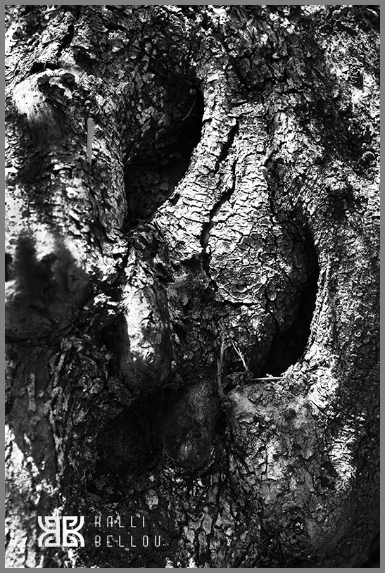 � Kalli Bellou / www.kallibellou.com