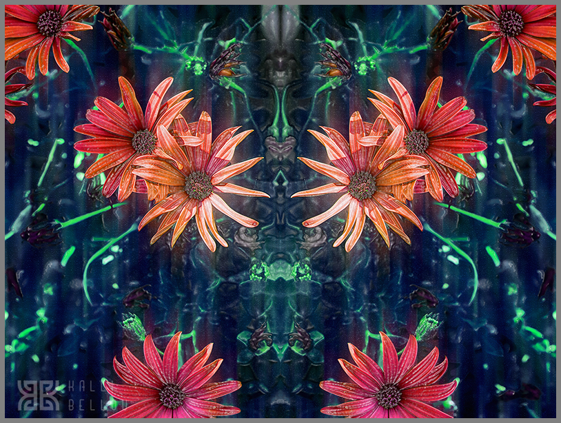 � Kalli Bellou / www.kallibellou.com