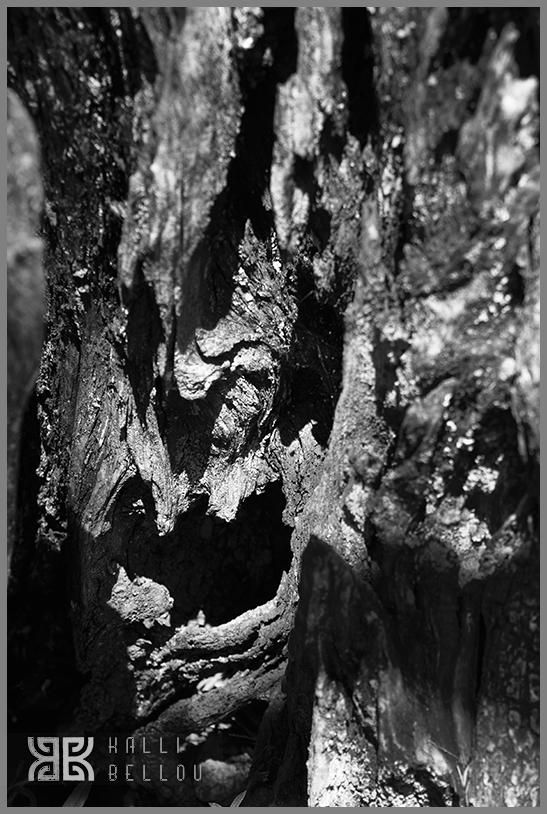 � Kalli Bellou / www.kallibellou.com