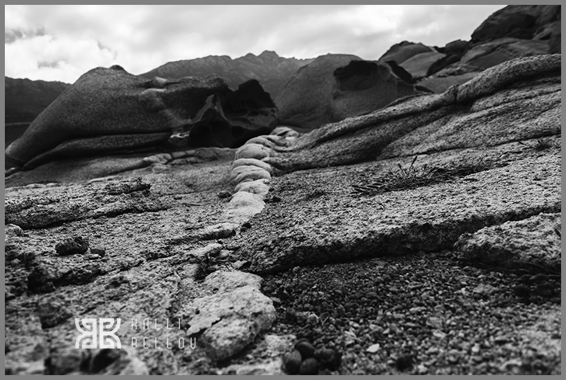 � Kalli Bellou / www.kallibellou.com