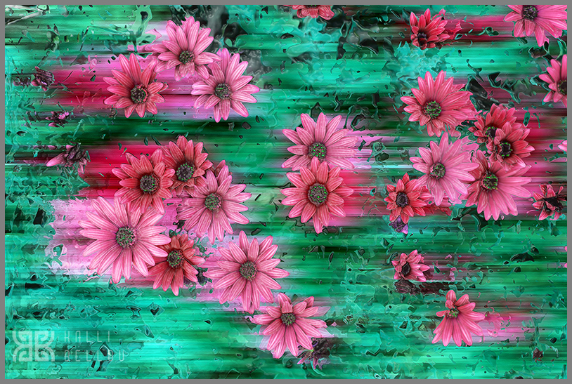 � Kalli Bellou / www.kallibellou.com