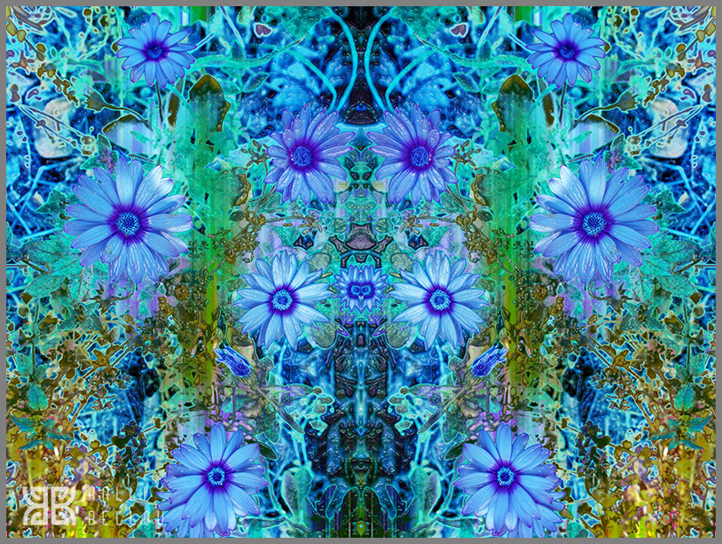 � Kalli Bellou / www.kallibellou.com