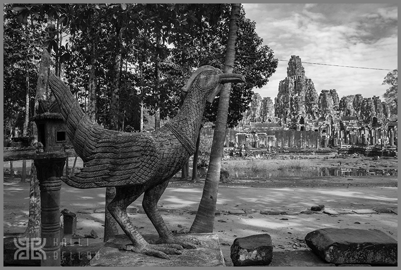 � Kalli Bellou / www.kallibellou.com