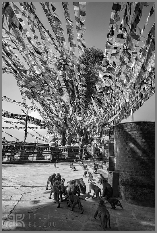 � Kalli Bellou / www.kallibellou.com